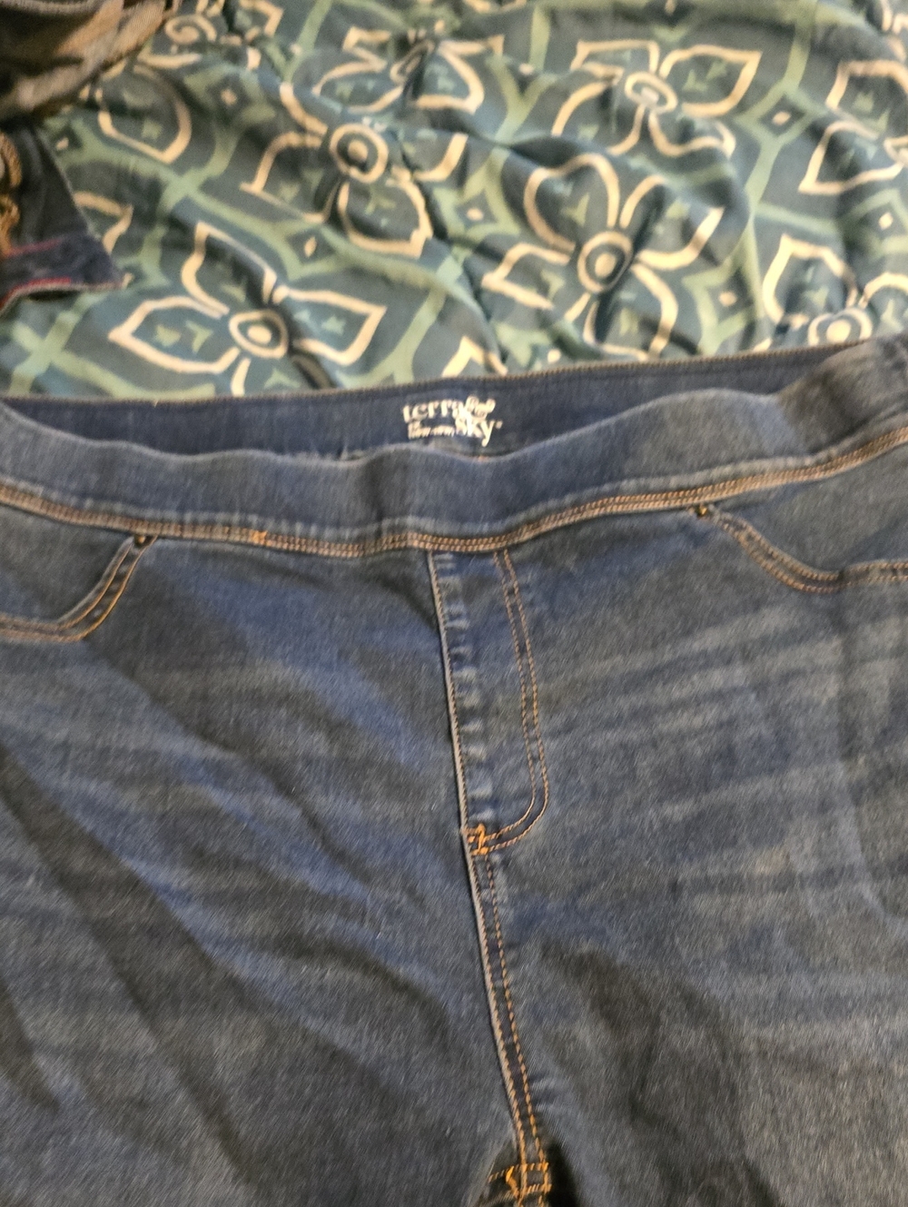 Terra & Sky Dark Blue Women’s Jeggings